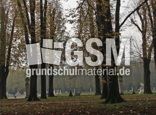 Herbststimmung-23-10-09 023.jpg